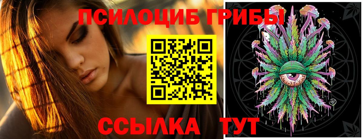 Галлюциногенные грибы Psilocybe Нововоронеж