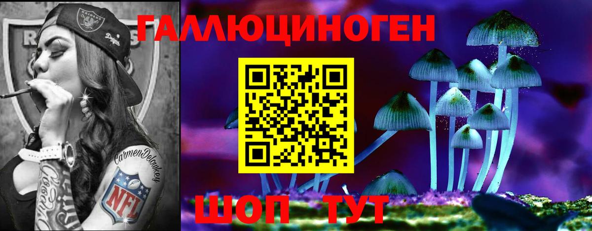 Галлюциногенные грибы Magic Shrooms  Галлюциногенные грибы GOLDEN TEACHER  Вход с VPN  Нововоронеж 